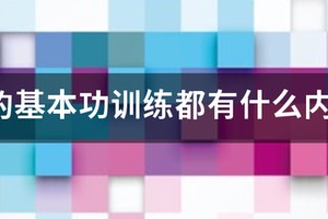 欧洲青少年篮球基本功训练视频大全